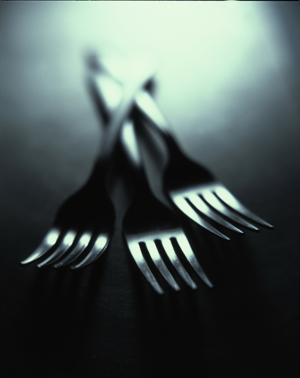 forks-336470_1280